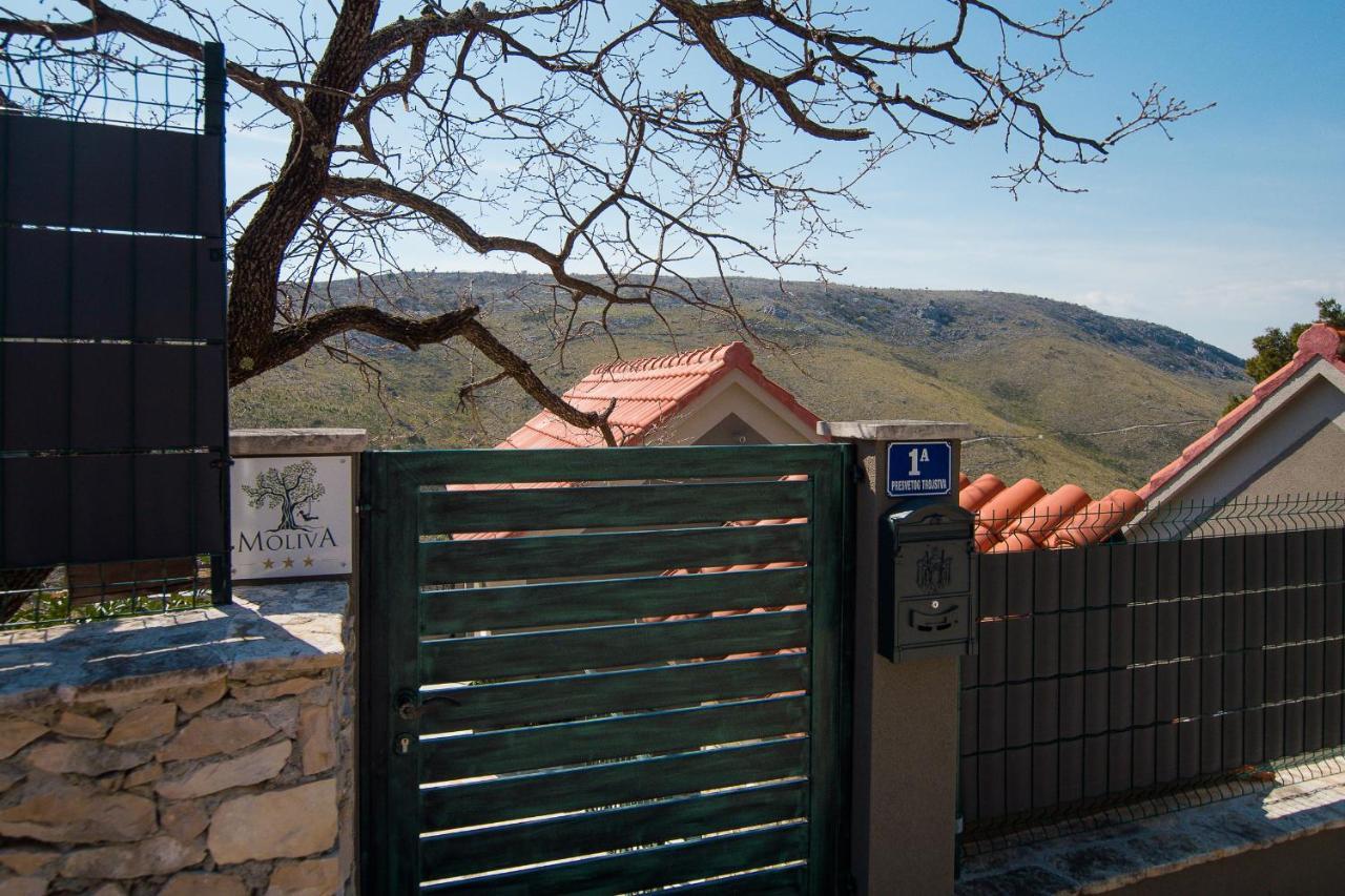 Holiday Home Moliva Donje Sitno ภายนอก รูปภาพ